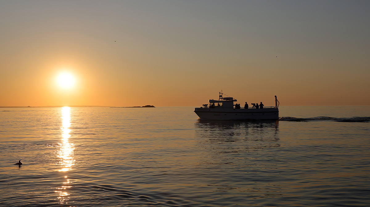 Sunset Farne Islands